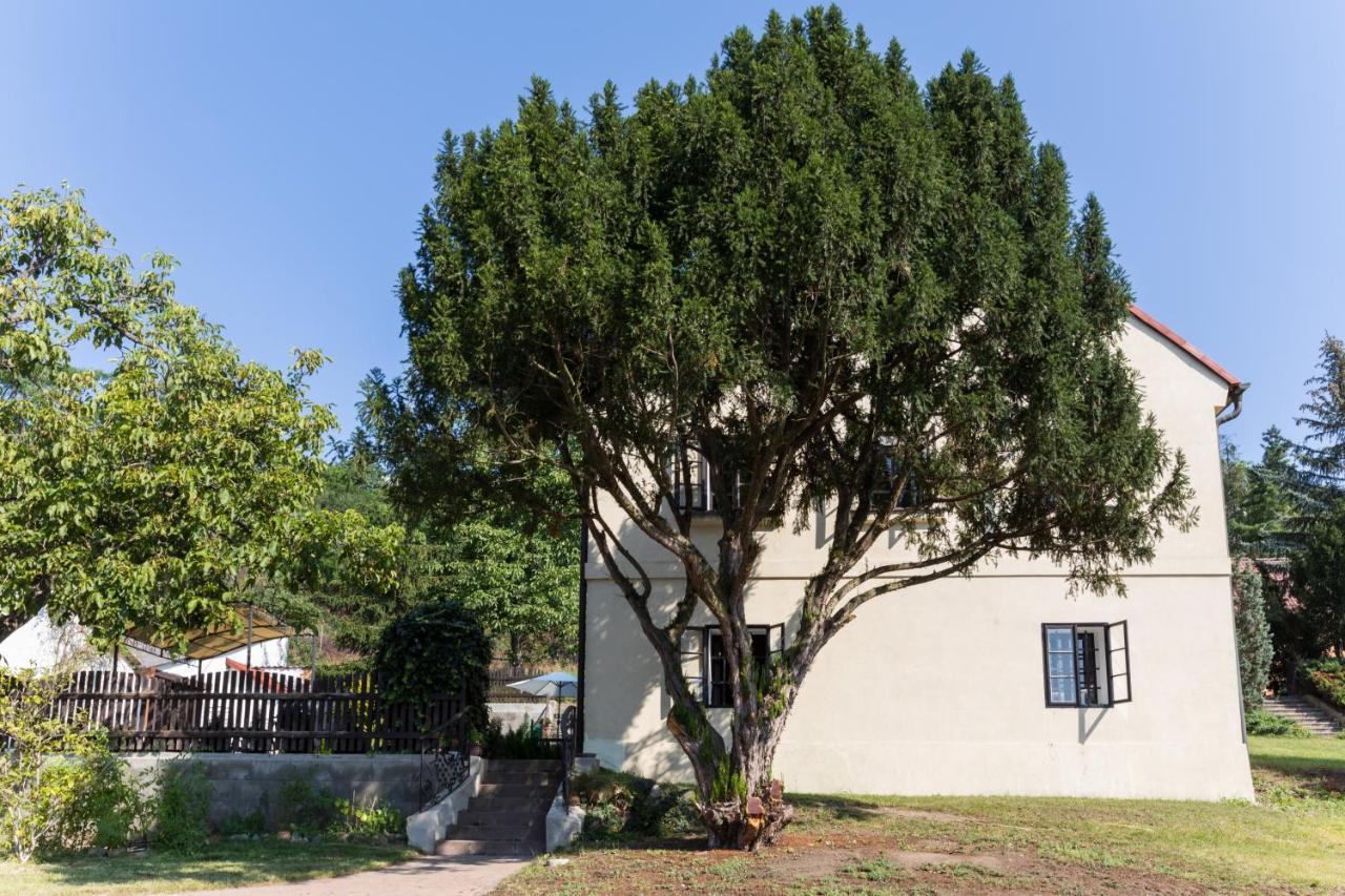 Widtman Apartment Praga Zewnętrze zdjęcie